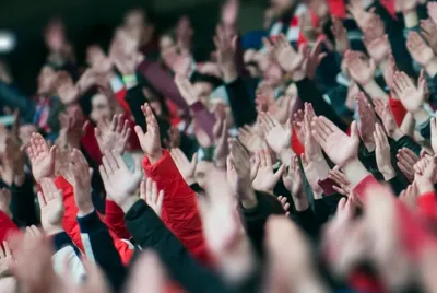 Picture of fans in a sports stadium